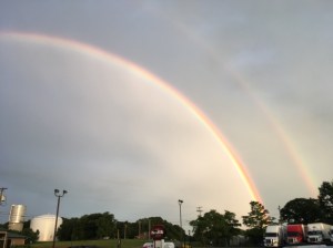 UNADJUSTEDNONRAW_thumb_11b74